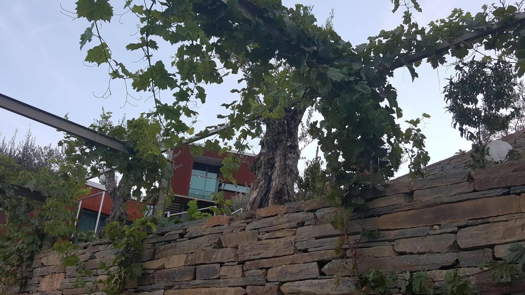 Vila Marim Country Houses Mesao Frio Luaran gambar